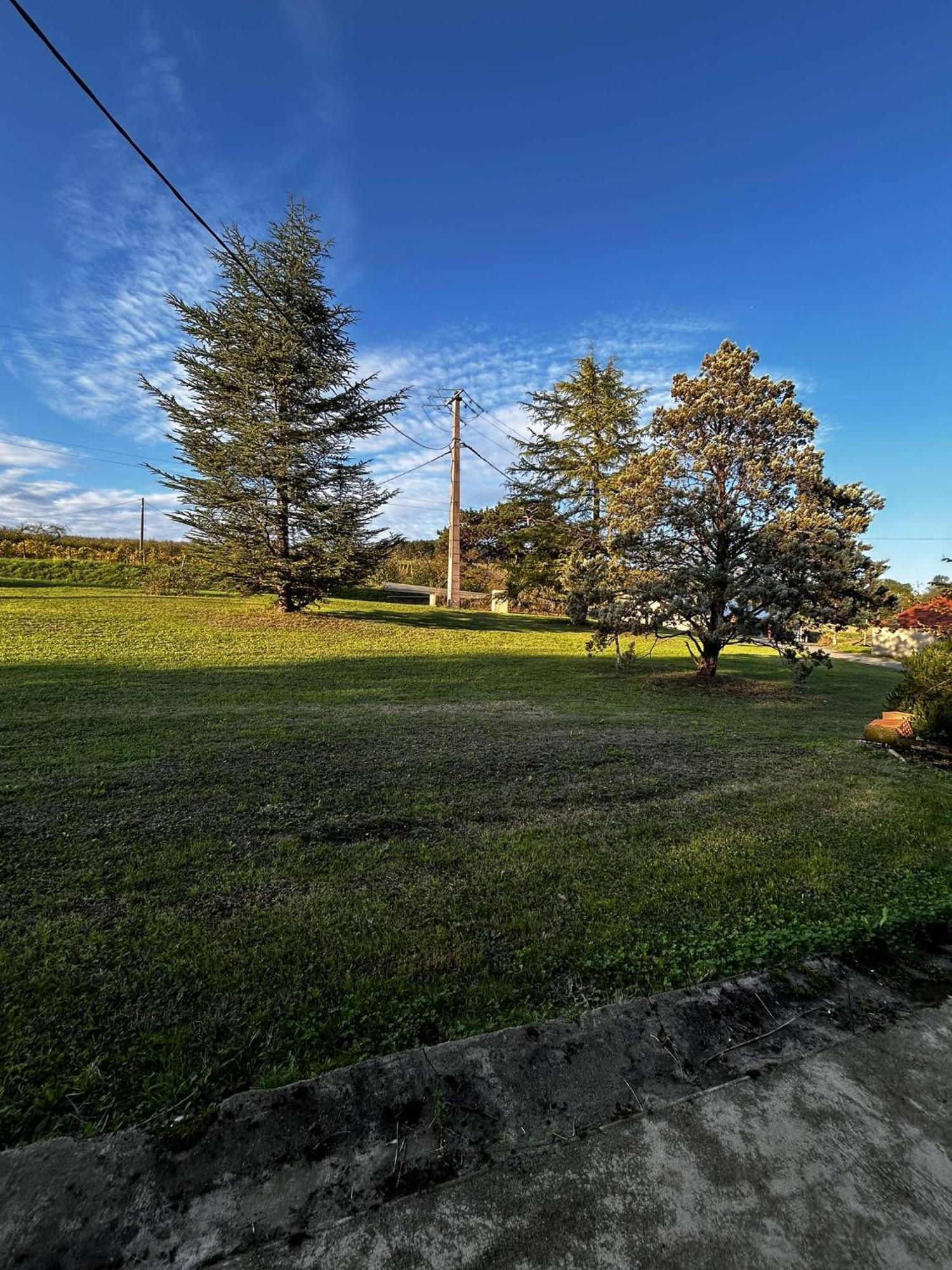 Gite La Garrigue Montbarla エクステリア 写真